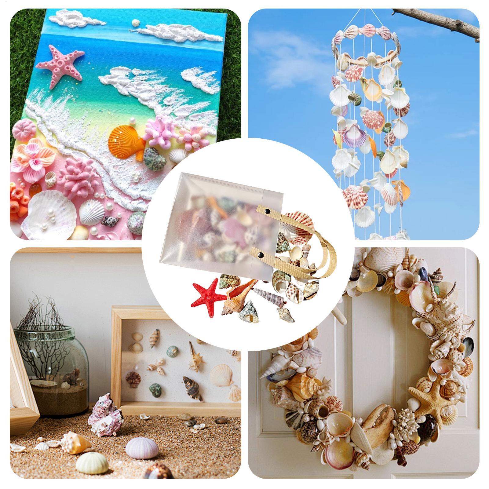 Tiny Seashells For Crafts Natu - Candle Making For Kids ulasan dan harga